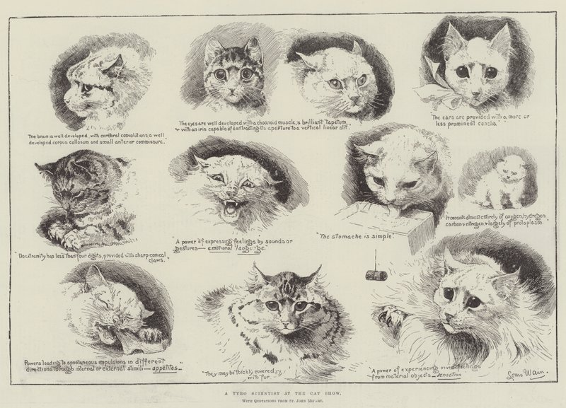 Vědec Tyro na výstavě koček od Louis Wain
