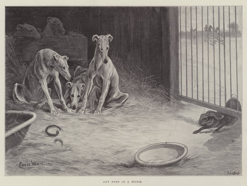 Jakýkoli přístav v bouři od Louis Wain