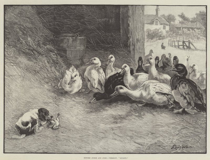 Před soudcem a porotou, verdikt, vinen od Louis Wain