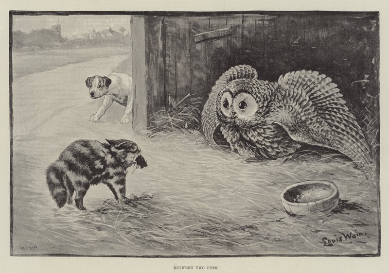 Mezi dvěma nepřáteli od Louis Wain