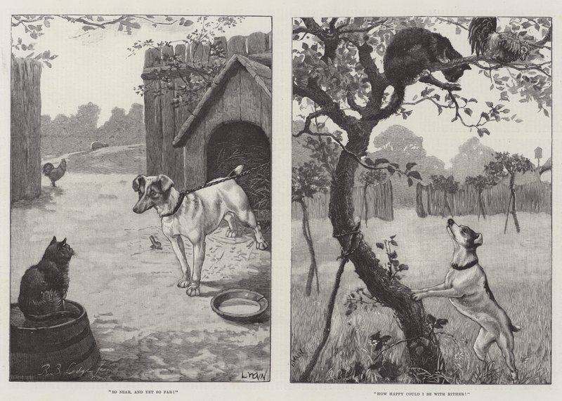 Kočky a psi od Louis Wain