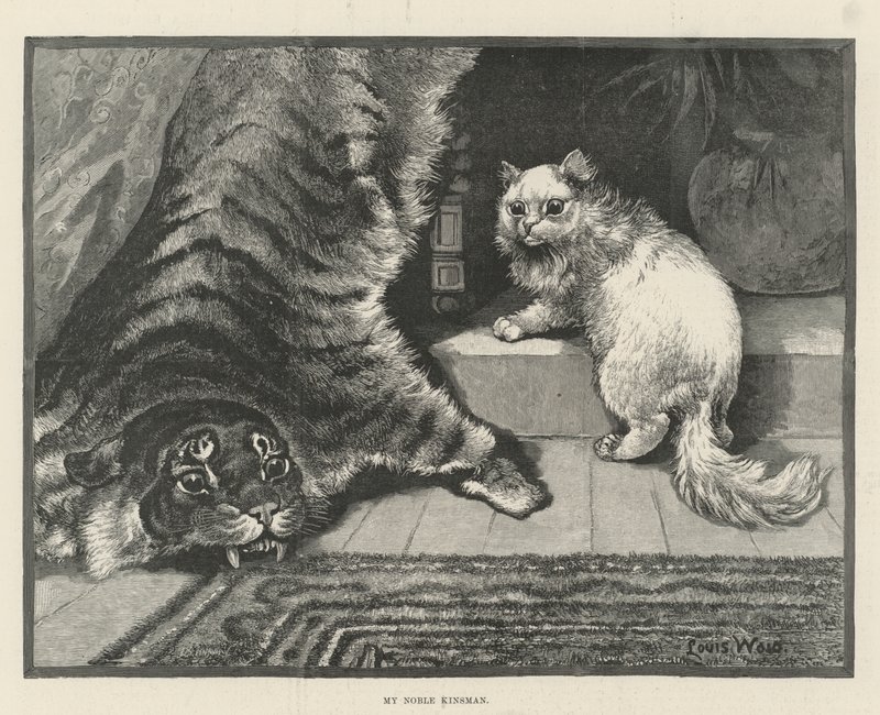Můj vznešený příbuzný od Louis Wain