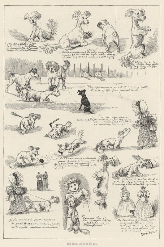 Tragický příběh mého života od Louis Wain