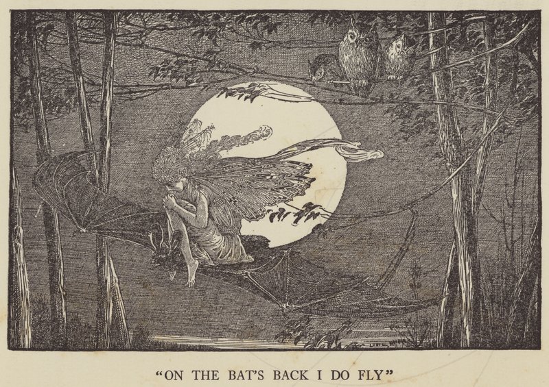 Na hřbetě netopýrů létám od Louis John Rhead