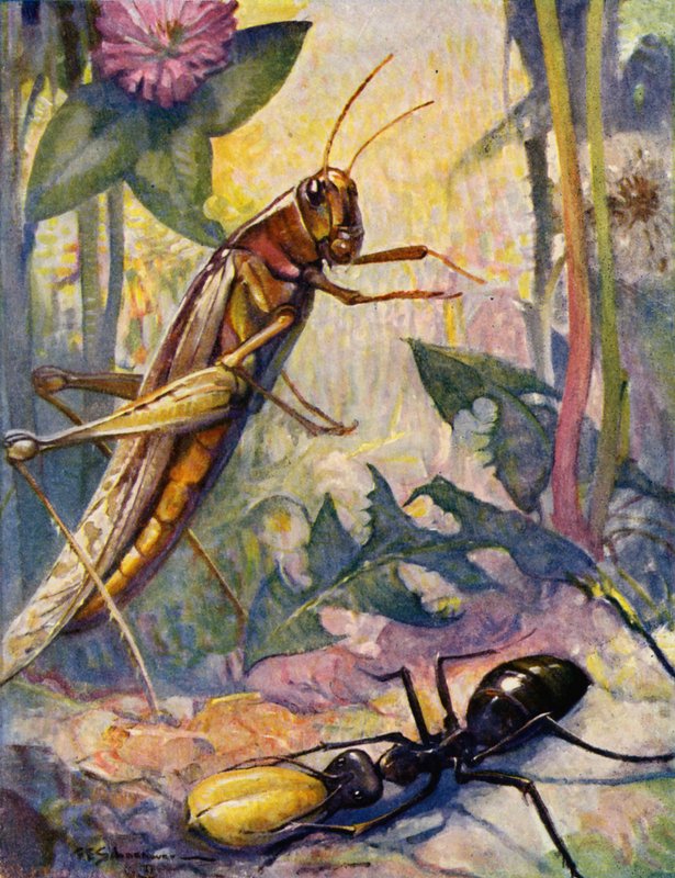 Mravenec a žížala (barevná litografie) od Louis John Rhead