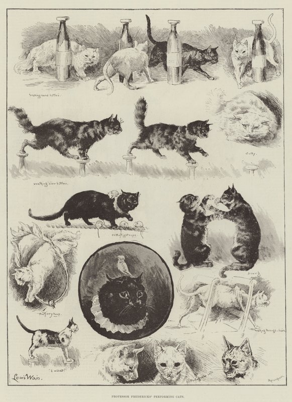 Účinkující kočky profesora Frederickse od Louis Wain