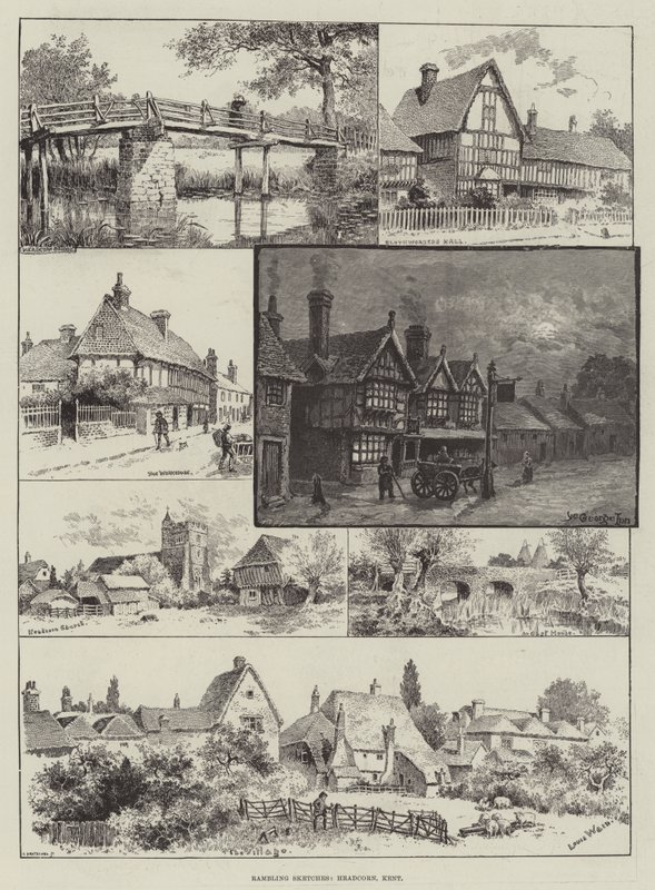 Rambling Sketches, Headcorn, Kent od Louis Wain