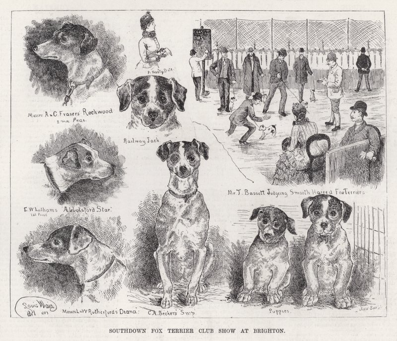 Southdown Fox Terrier Club Show v Brightonu (rytina) od Louis Wain