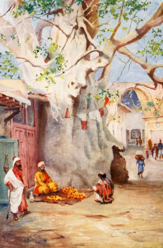 Velký plantain na bazaru, Damašek (barevná litografie) od Margaret Thomas