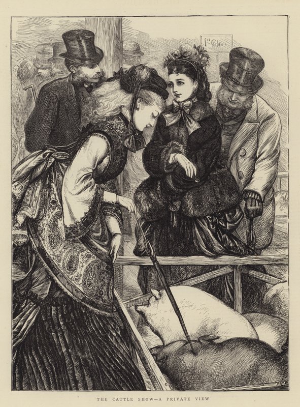 The Cattle Show, soukromý pohled od Mary Ellen Edwards