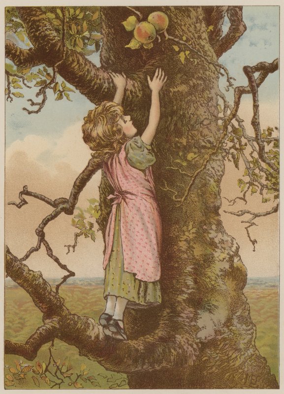 Dívka šplhá pro poslední jablka (chromolitho) od Mary Ellen Edwards