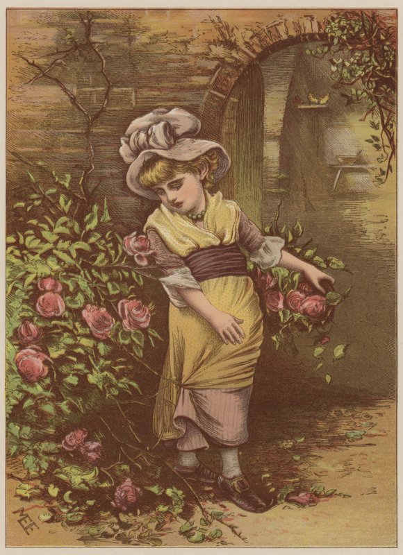 Dívka trhající růže (chromolitho) od Mary Ellen Edwards