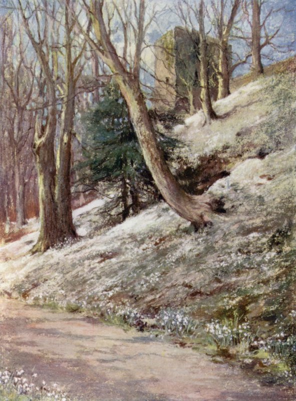 Skotské zahrady: Ardgowan (barevné lito) od Mary Georgina Wade Wilson