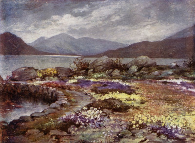 Závěsný od Mary Georgina Wade Wilson