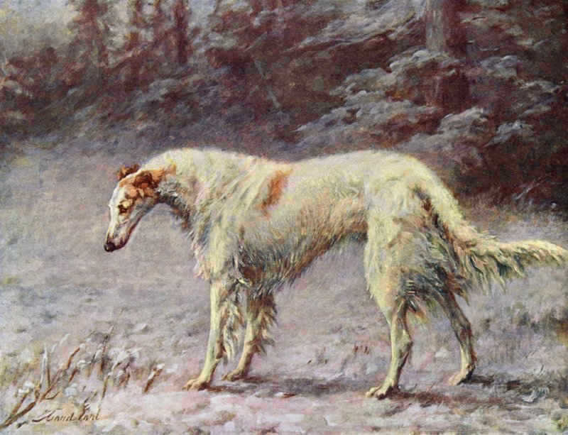 Šampion Ivan Turgeneff od Maud Earl