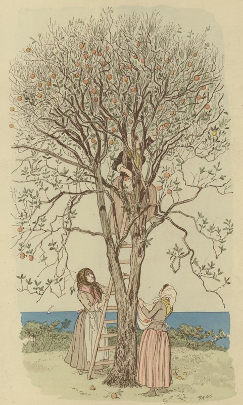 Sběr pomerančů ve Středomoří (barevná litografie) od Maurice Charles Mathieu Bonvoisin