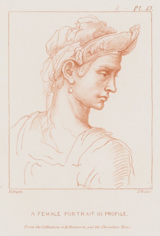 Ženský portrét v profilu od Michelangelo Buonarroti