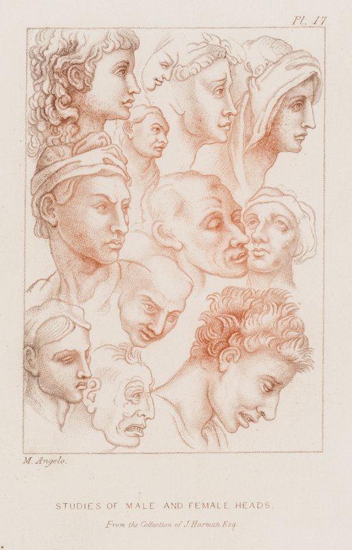 Studie mužských a ženských hlav (lept) od Michelangelo (after) Buonarroti