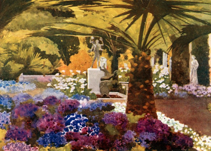 Cinerarias, Achilleion, Korfu od Mima Nixon