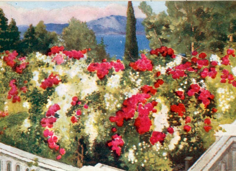 Růžová pergola, Achilleion, Korfu od Mima Nixon
