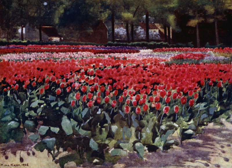Tulipány v původním stavu (barva lito) od Mima Nixon