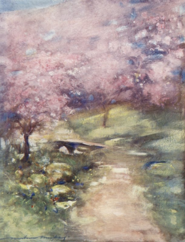 Blossom of the Glen od Mortimer Ludington Menpes