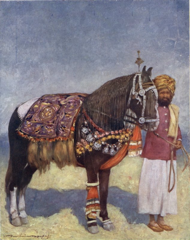 Kůň z Jodhpur (barva litho) od Mortimer Ludington Menpes