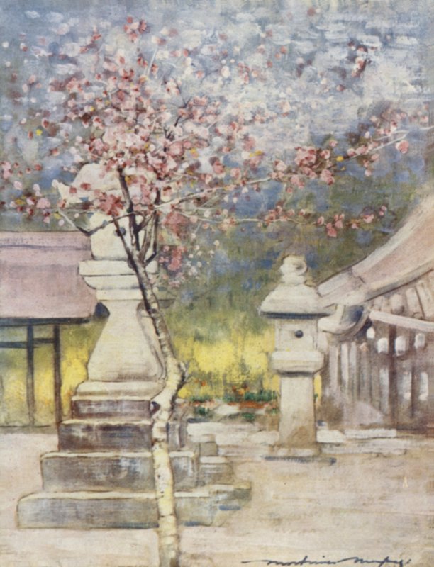 Peach-Blossom od Mortimer Ludington Menpes