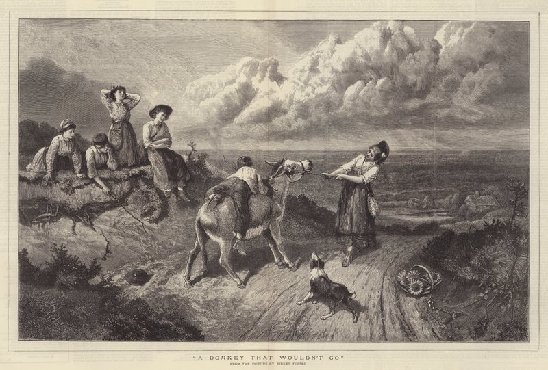 Osel, který by nešel od Myles Birket Foster