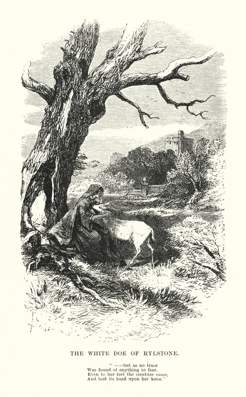 William Wordsworth: The White Doe of Rylstone (rytina) od Myles Birket (after) Foster