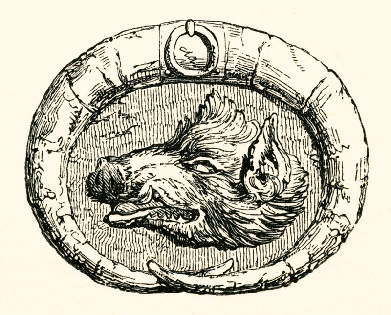 Kančí hlava Carol od Myles Birket Foster