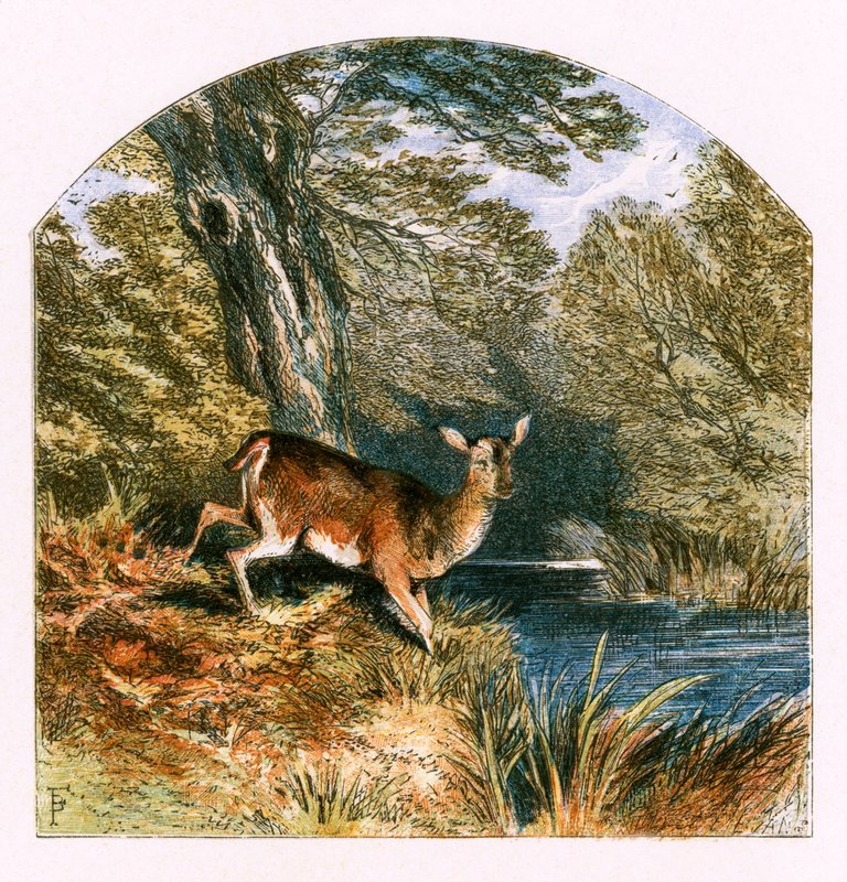 Ilustrace k filmu The Captivity od Myles Birket Foster