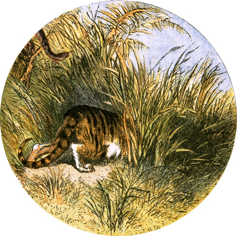 Ilustrace k filmu „Opuštěná vesnice“ od Myles Birket Foster