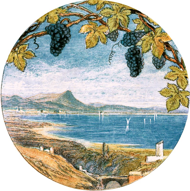 Ilustrace k filmu The Traveller od Myles Birket Foster