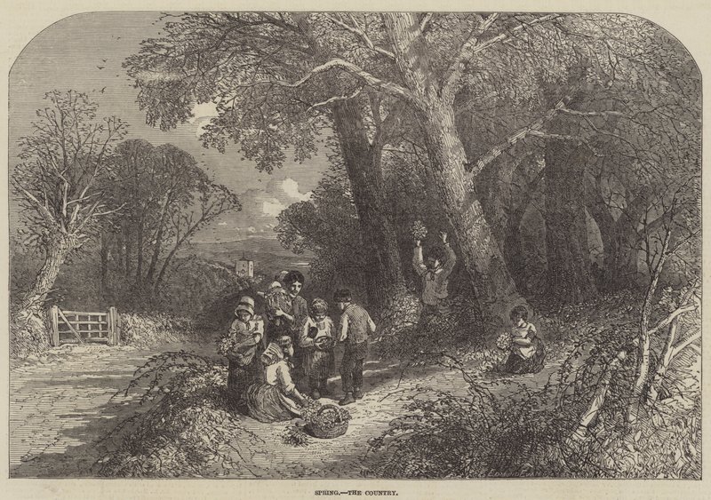 Jaro, země od Myles Birket Foster