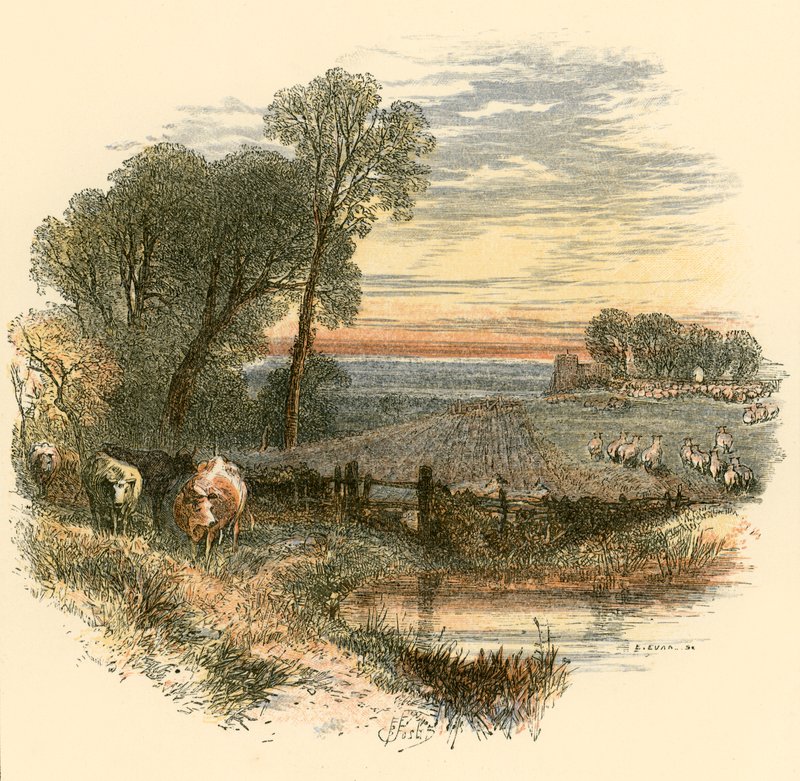 Neděle od Myles Birket Foster