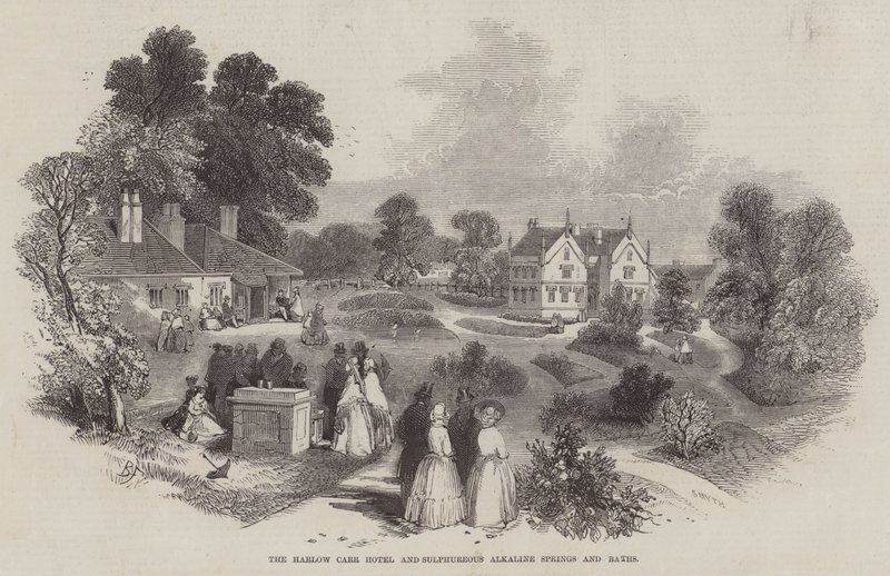 Hotel Harlow Carr a sirné alkalické prameny a lázně od Myles Birket Foster