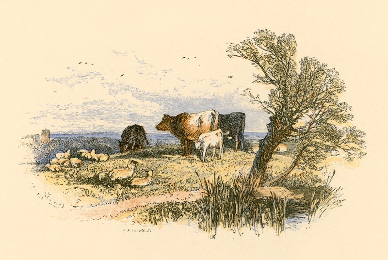 Kostelní zvony od Myles Birket Foster