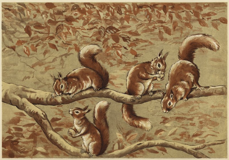 rodinná skupina (litho) od N. Parker