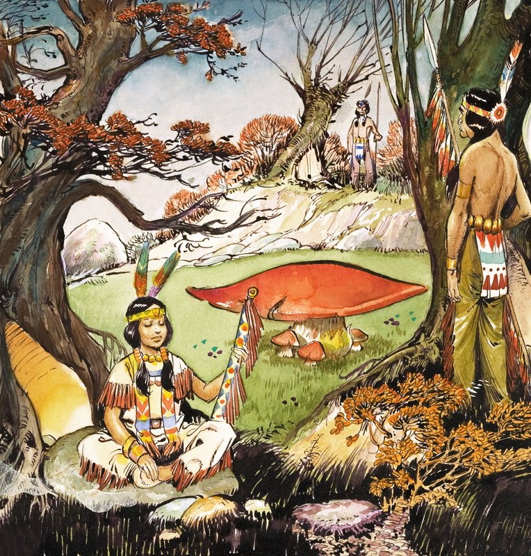 Squaw a odvážlivci, ilustrace z knihy "Peter Pan" od J. M. Barrieho (kvaš na papíře) od Nadir Quinto