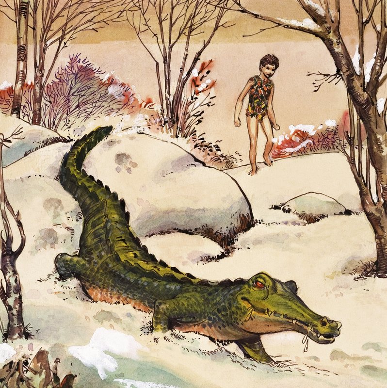 Petr jde za krokodýlem, ilustrace z knihy "Peter Pan" od J. M. Barrieho (kvaš na papíře) od Nadir Quinto