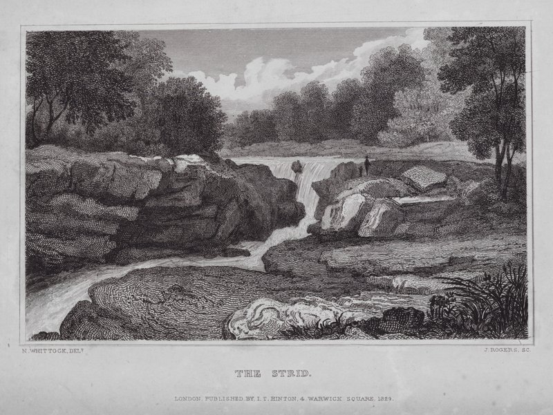 The Strid (rytina) od Nathaniel (after) Whittock