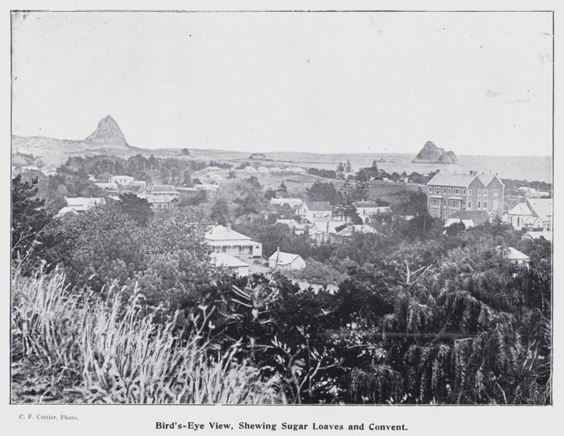 New Plymouth, Nový Zéland: Pohled z ptačí perspektivy, vystavování cukrových homolí a klášter (černobílá fotografie) od New Zealand Photographer