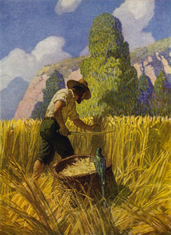 Ilustrace pro Robinson Crusoe (barevné lito) od Newell Convers (after) Wyeth