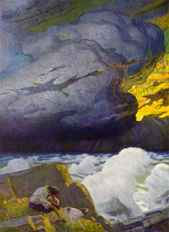 Ilustrace pro Robinson Crusoe (barevné lito) od Newell Convers (after) Wyeth