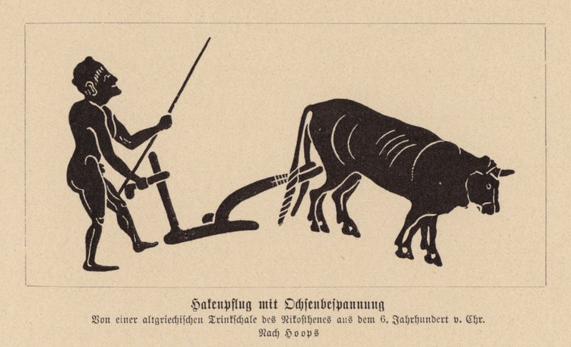 Starořecký pluh tažený voly (litografie) od Nikosthenes