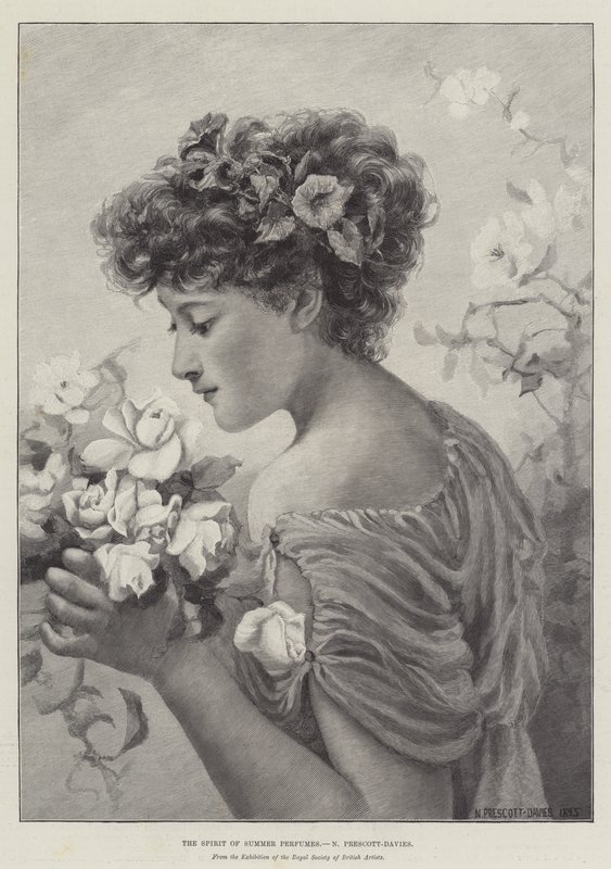 Duch letních parfémů od Norman Prescott Davies