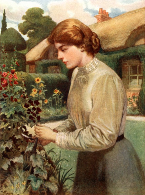 Anglická dívka od Norman Hardy
