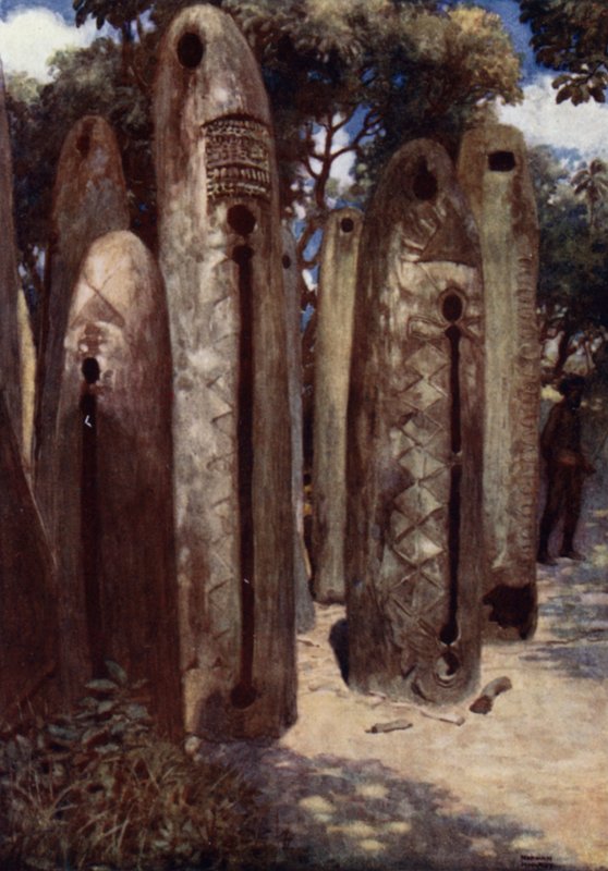 Drum Grove at Mele, Nové Hebridy (barevné lito) od Norman Hardy