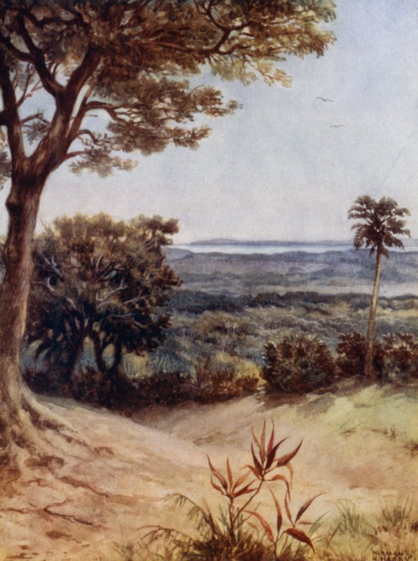 Havannah Harbour, Rathmoy, Nové Hebridy (barevné lito) od Norman Hardy